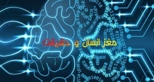 مغز انسان و حقیقت 310x165 - مغز انسان و حقیقت